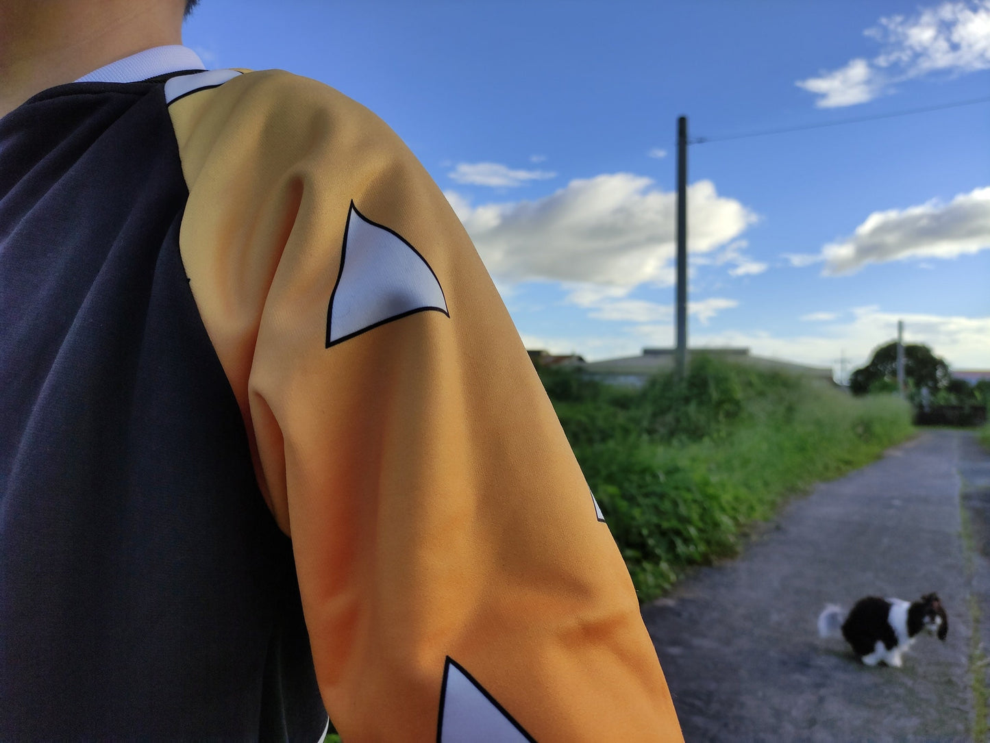 Anime Inspired Letterman - Haori and Uniform Combo Yellow